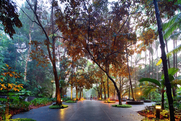 SGSIN - Singapore - Singapore Botanic Gardens _Darren Soh_ - Credits Singapore Tourism Board.jpg